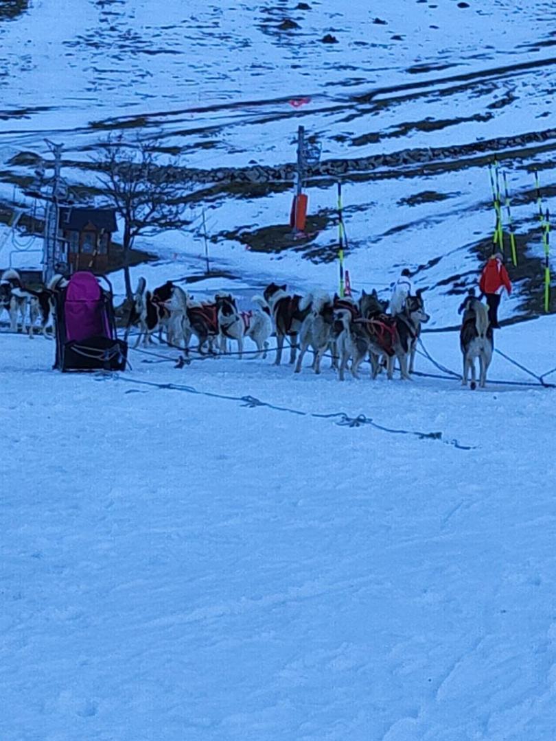 Appart 4/6 Pers Pied Des Pistes La Mongie Bagnères-de-Bigorre المظهر الخارجي الصورة